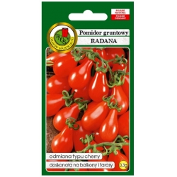 nasiona Pomidor gruntowy Radana pnos297
